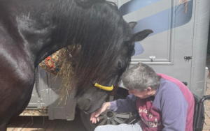 Black horse receives petting from elderly patient in wheelchair.